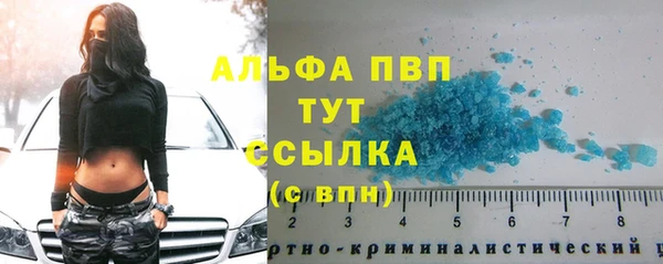 прущий лед Бородино