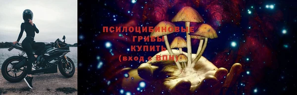 прущий лед Бородино