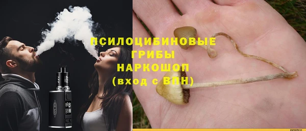 прущий лед Бородино