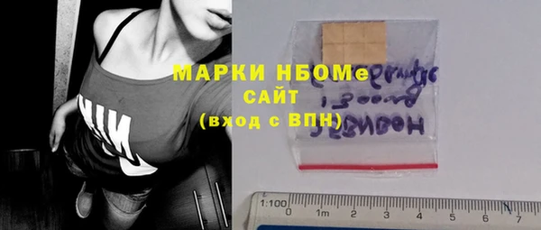 прущий лед Бородино